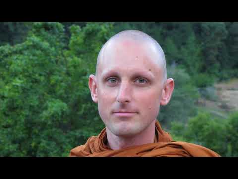 Wise Attention | Ajahn Ñāṇiko