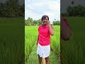 Ponnumani Navarasanayagan Ponnumani Nenjukulle