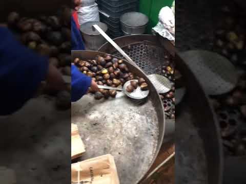 Maher found kestane in Madrid 😂