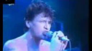 Herman Brood 1988 live Cologne -Rock'n'Roll Junkie-