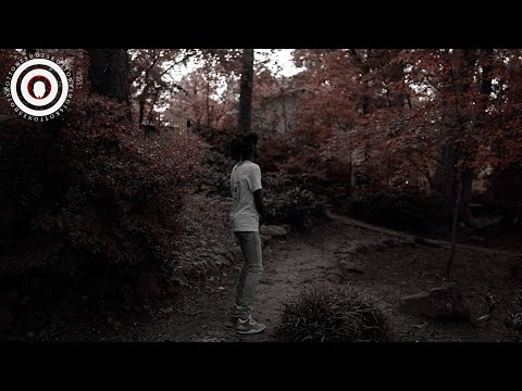 Trezzio - Heartless [Dir. by @ONESHOTSKOTT]