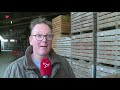 Halloween-drukte bij pompoenteler