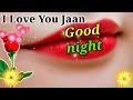 Good Night Video Good Night Status Good Night Song Good Night Photo Good Night