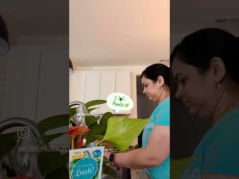 “Don’t wait for someone to bring you flowers. Plant your own garden and decorate your own soul.”