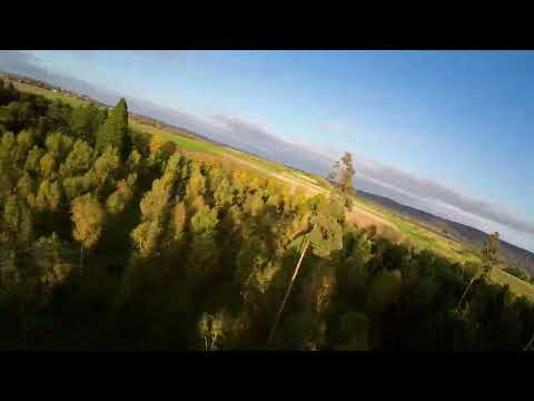 DJI Avata - Freestyle fun with trees