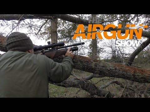 The Airgun Show: pest control with the BSA CLX