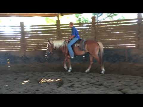 MUSTANG MAKEOVER 2018 Team Tom (TAG 3926) - Update 7