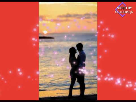 Apsolutno tvoj_Mirzino jato/Aпсолутно твој_Мирзино јато