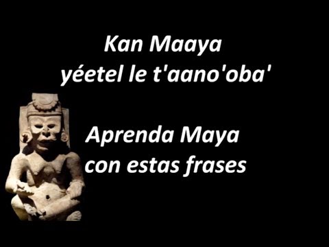 21.-Aprenda Maya, Frases 17 (VERBOS: querer; negaciones, pretérito)