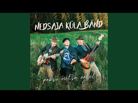 Sa Oled Nõnda Kena - Nedsaja Küla Bänd