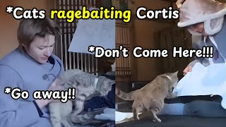 Download lagu Cortis Seollal Break Video Being Peak Comedy For 8 Minutes Straight mp3 Download lagu Cortis Seollal Break Video Being Peak Comedy For 8 Minutes Straight mp3