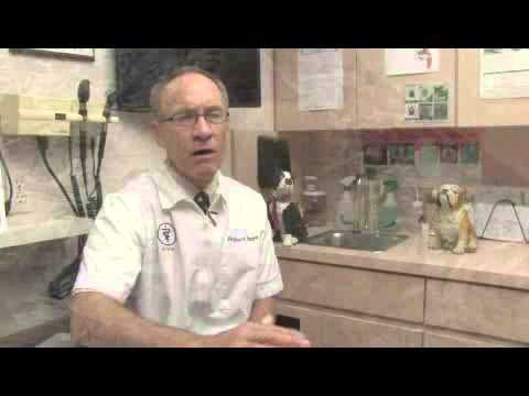 YouTube video about: Can you give nexgard to a nursing dog?
