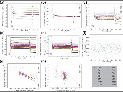 pQCM-BraTaDio Video Demo