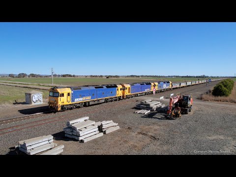 7734V Pacific National Grain Train At Gheringhap Loop (16/8/2023) - PoathTV Australian Railways