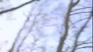 Current 93 - She Took Us To The Places Where The Sun Sets