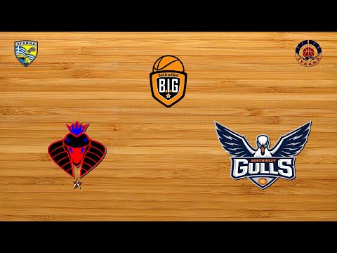 Mambas Anosia Team 58 - 55 Southwest Gulls | 13η Αγων. BIG League 1