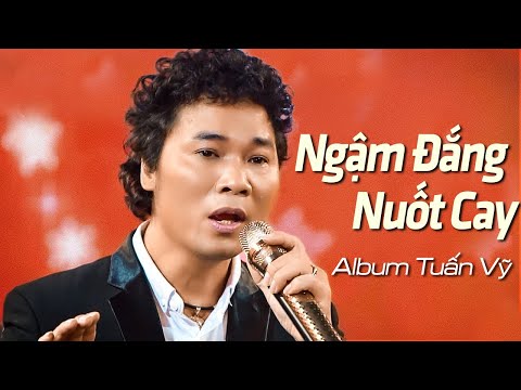 Tuấn Vỹ Và 25 Bài Nhạc Vàng Buồn Sầu Lòng - Album Nhạc Vàng Xưa Đi Vào Lòng Người