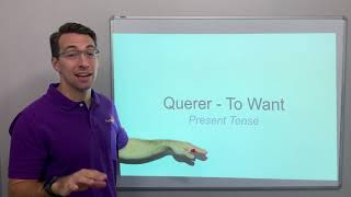 Querer - Present Tense