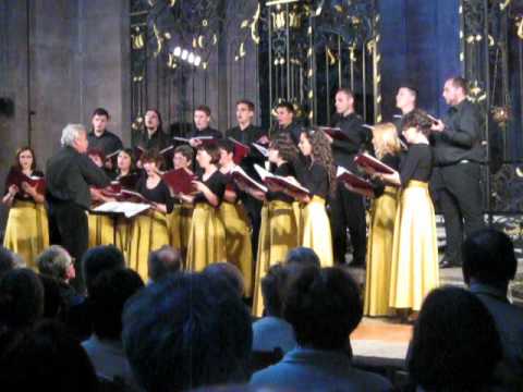 Chindia - Alexandru Pascanu