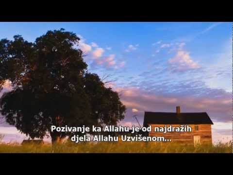Šejh Muhammed Mukhtar Šenkiti - Pozivanje ka Allahu