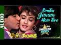 Saaton Janam Main Tere JHANKAR BEATS Dilwale Ajay Devgan Raveena Tandon 90 S Romantic Songs