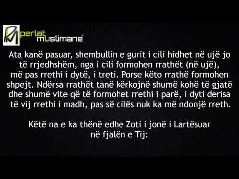 Imam Albani paralajmëron Selefitë