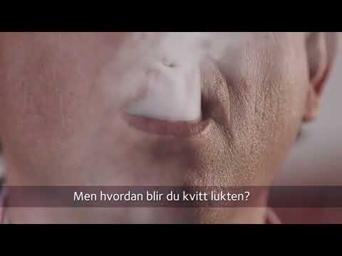 Leje af ozongenerator hos SyRen og kom af med røglugt mm.