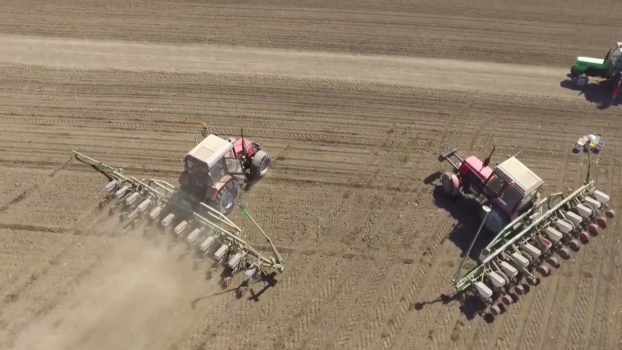 Ključne preporuke za setvu soje