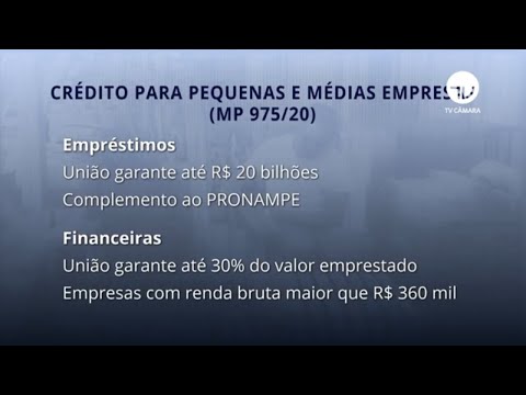 Câmara aprova crédito para pequenas e médias empresas - 09/07/20