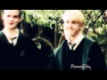 The Whomping Willows-In Which Draco and Harry ...