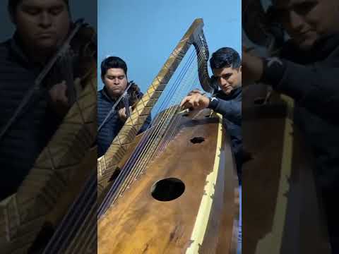 LO SIGO AMANDO ARPA Y VIOLIN QUINTO CHICO Y YEFERSON CASTRO 2024