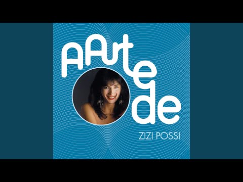 Meu Amigo, Meu Herói - Zizi Possi