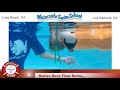 Asta Learning That Smart Fish Babies Back Float Better
