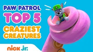 Top Five Countdown of Crazy Creatures in PAW Patrol’s Adventure Bay | Nick Jr.
