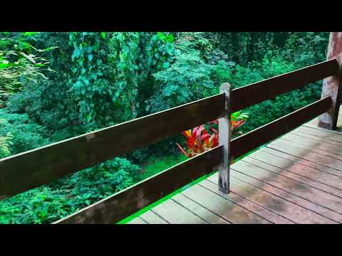 Sítio na costa verde 10.000 m²