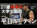 【ルーティン】21歳休学中ベンチャー筋肉の日常