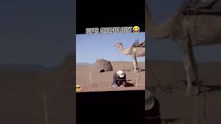 Funny Videos 2021 ● #shorts