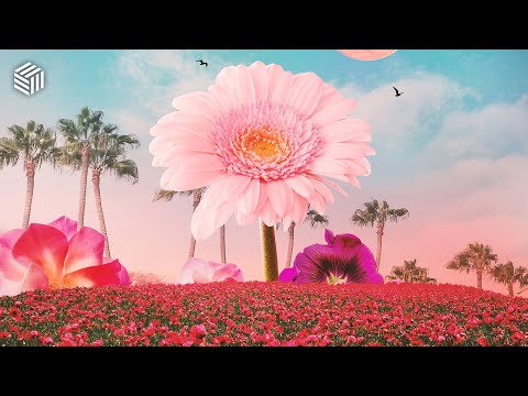 Marc Kiss, Crystal Rock & Robin White - Supermarket Flowers