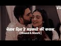 Betaab Dil Hai Dhadkano Ki Kasam ( Slowed & Reverb ) Sonu Nigam | Salman Khan | Shilpa Shetty