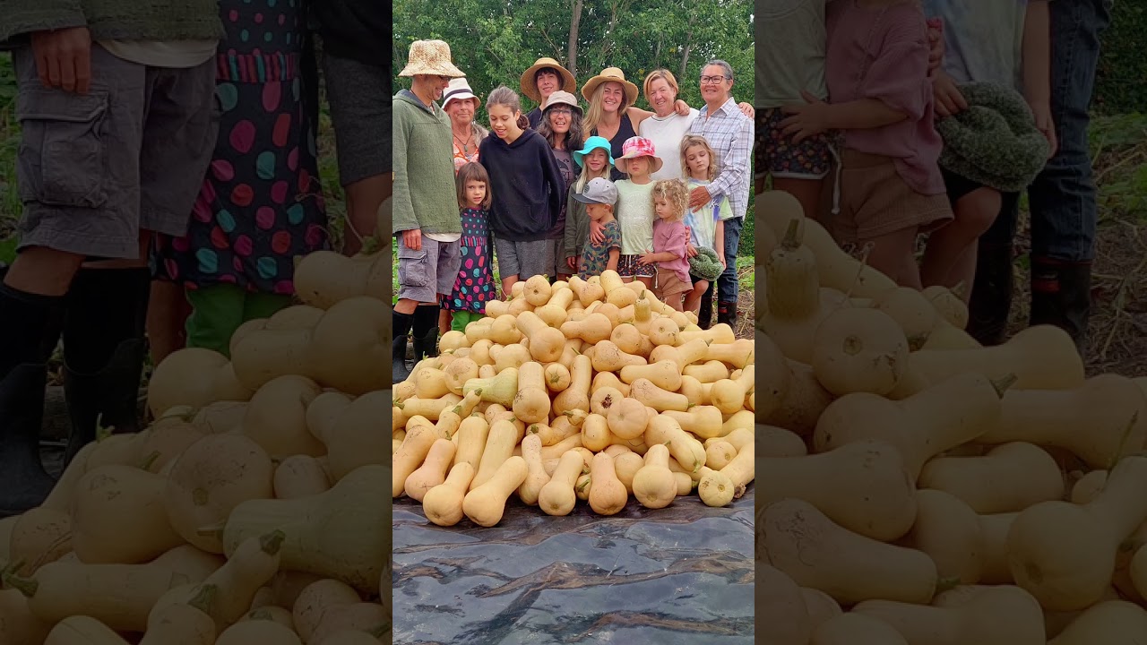 WEC Food Resilience