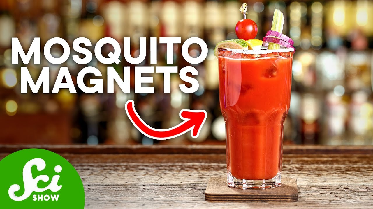 5 Things That Attract Mosquitoes