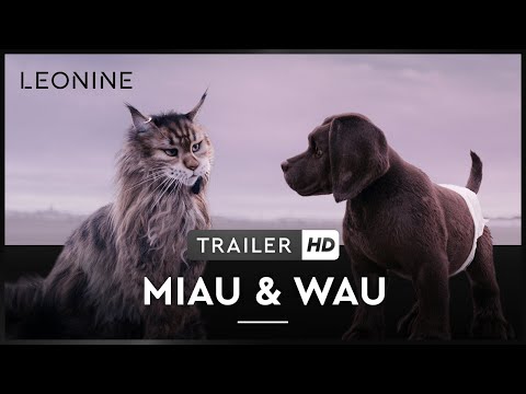 Trailer-Vorschau: Miau & Wau