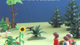 van het prille begin tot de bittere eind