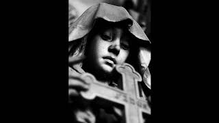 Scott Walker Angels of Ashes