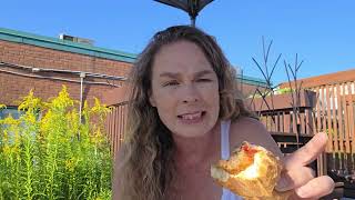 Is Firehouse subs actually worth it (honest Toronto review)