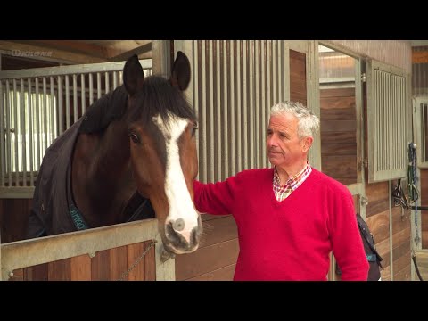 Andreas Wendenburg – KRONE Premos Strukturpellets in der Pferdehaltung