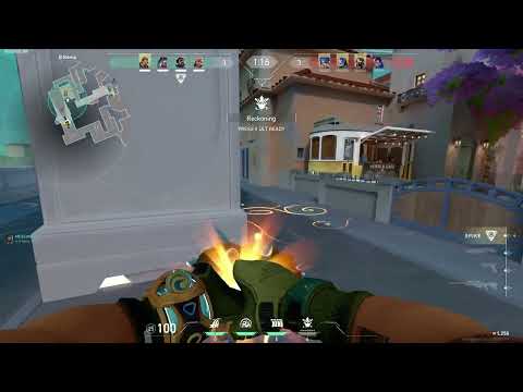 HARBOR INDIA ACE CLIMAX