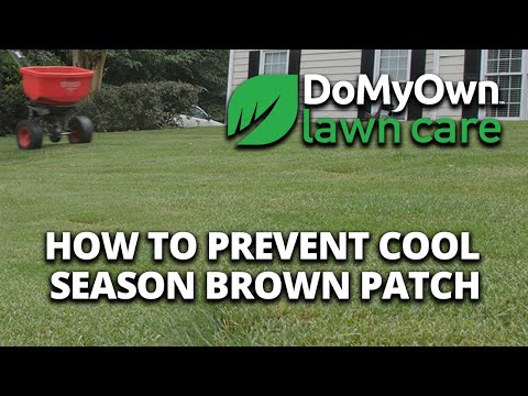  How to Prevent Brown Patch in Cool Season Grass Types - Lawn Care Tips Video 