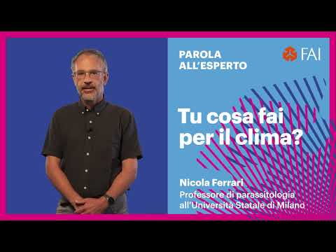 Video HotMinute News