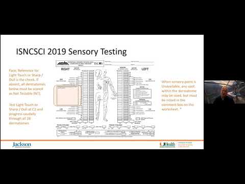 International Standards for Neurological Classification of Spinal Cord Injury